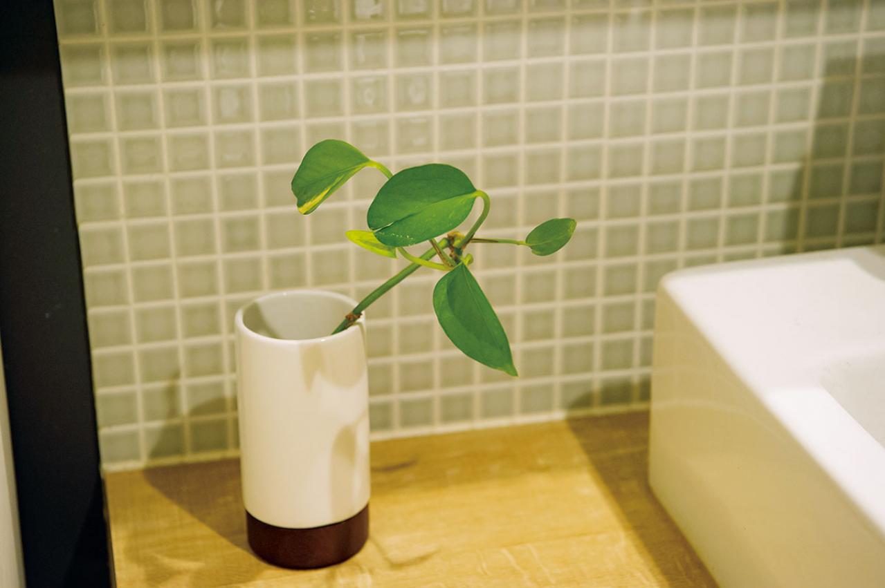 中古マンションをグリーンファーストでフルリノベ。「植物は一代で終わらせない」室内インテリア【mi*さん】（画像20）