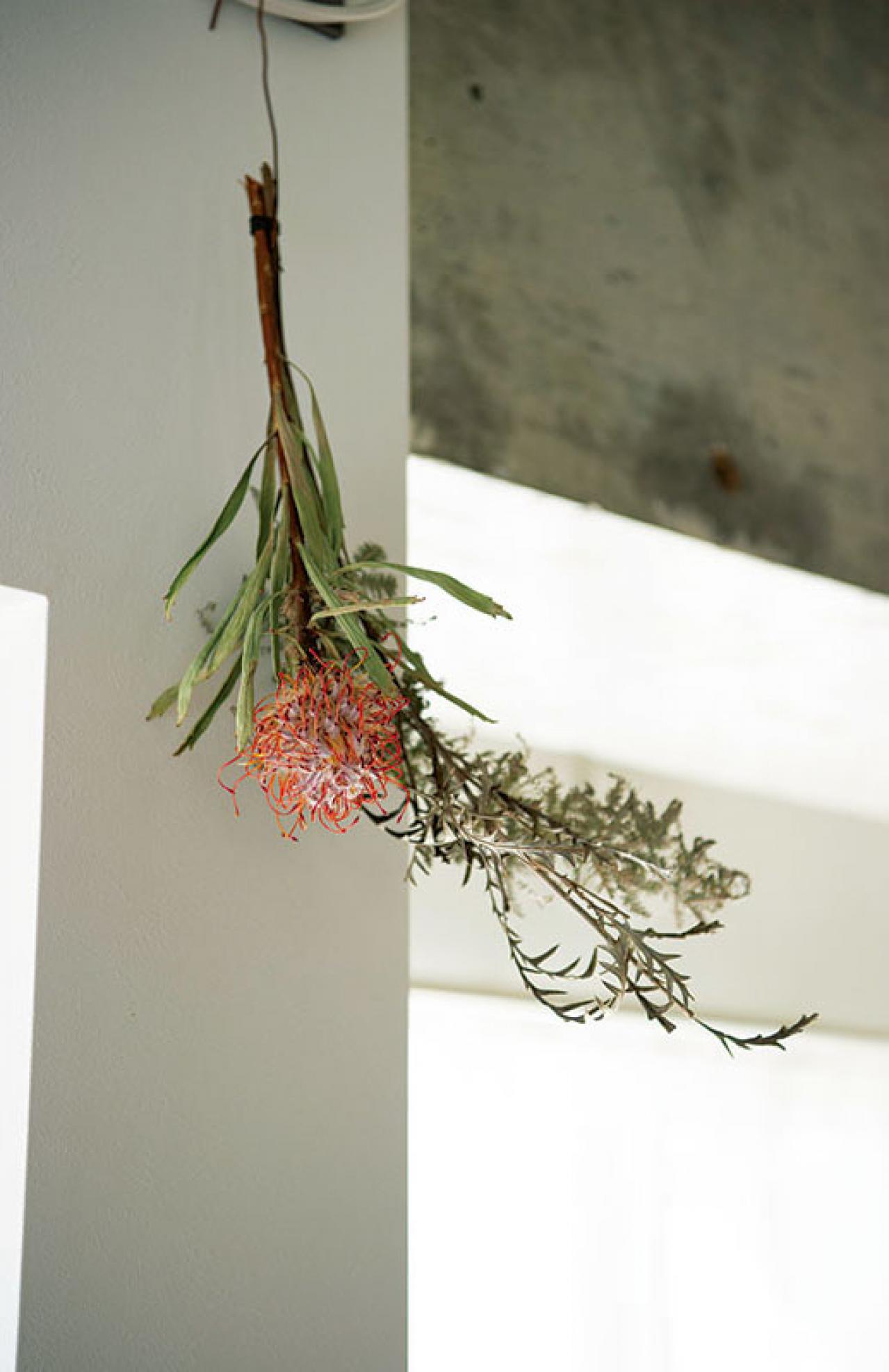 中古マンションをグリーンファーストでフルリノベ。「植物は一代で終わらせない」室内インテリア【mi*さん】（画像16）