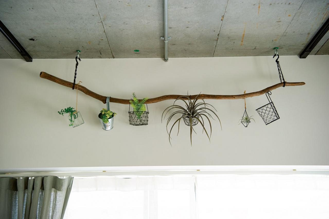 中古マンションをグリーンファーストでフルリノベ。「植物は一代で終わらせない」室内インテリア【mi*さん】（画像8）