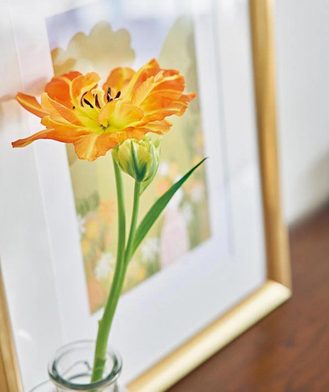 「お金を使うときに自身が持てる」柳沢小実さん流・家計管理の仕方（画像2）