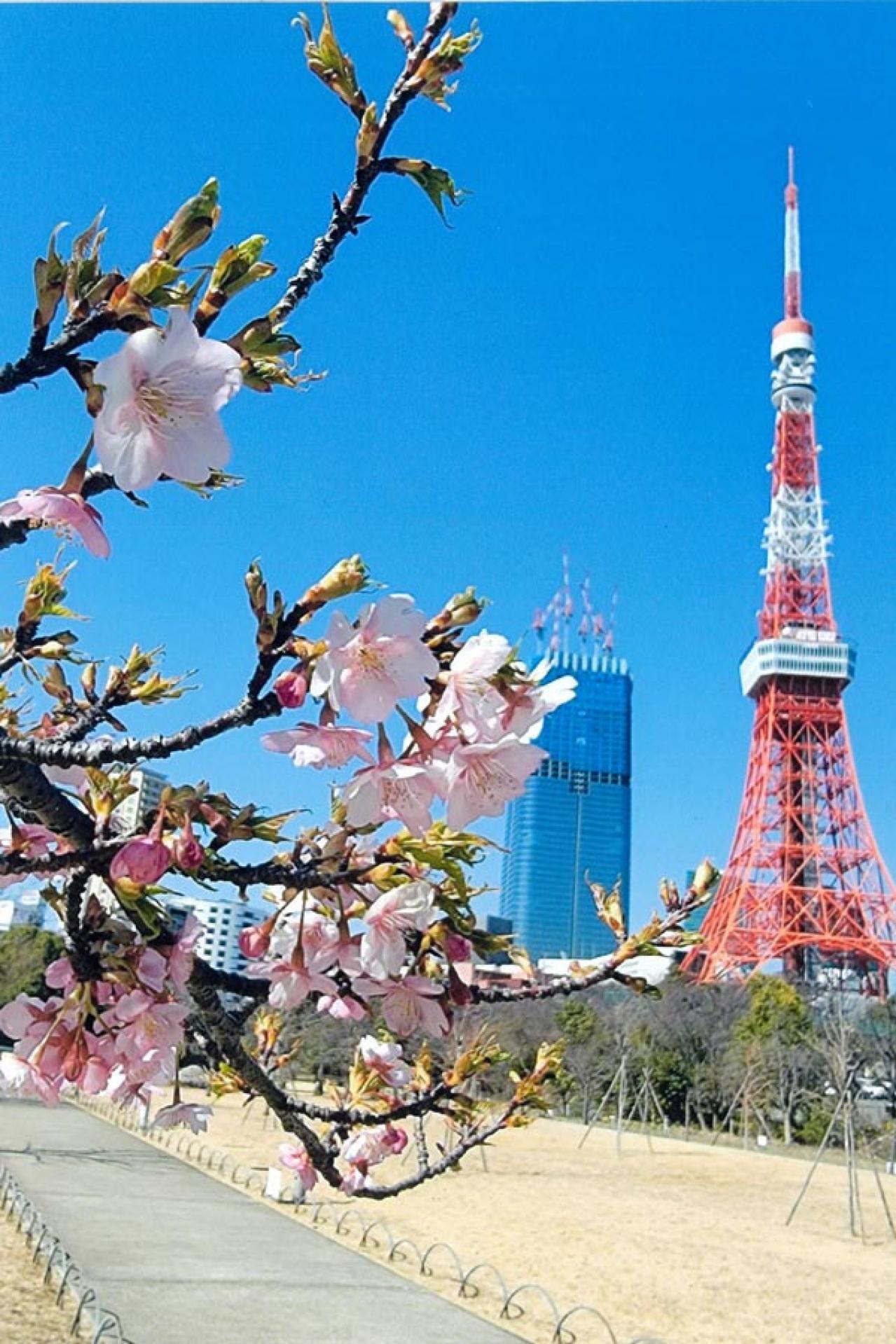 61歳【定年後の自分磨き】フリーアナウンサー吉崎典子さんの「失敗してもいいから、とりあえずやってみる！」（画像8）