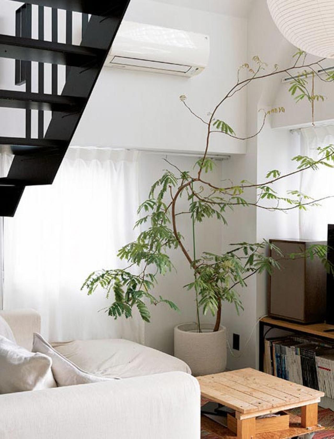 中古マンションだけど「森に住んでいる感じ！」部屋に大きな木のある【インテリア実例】（画像3）