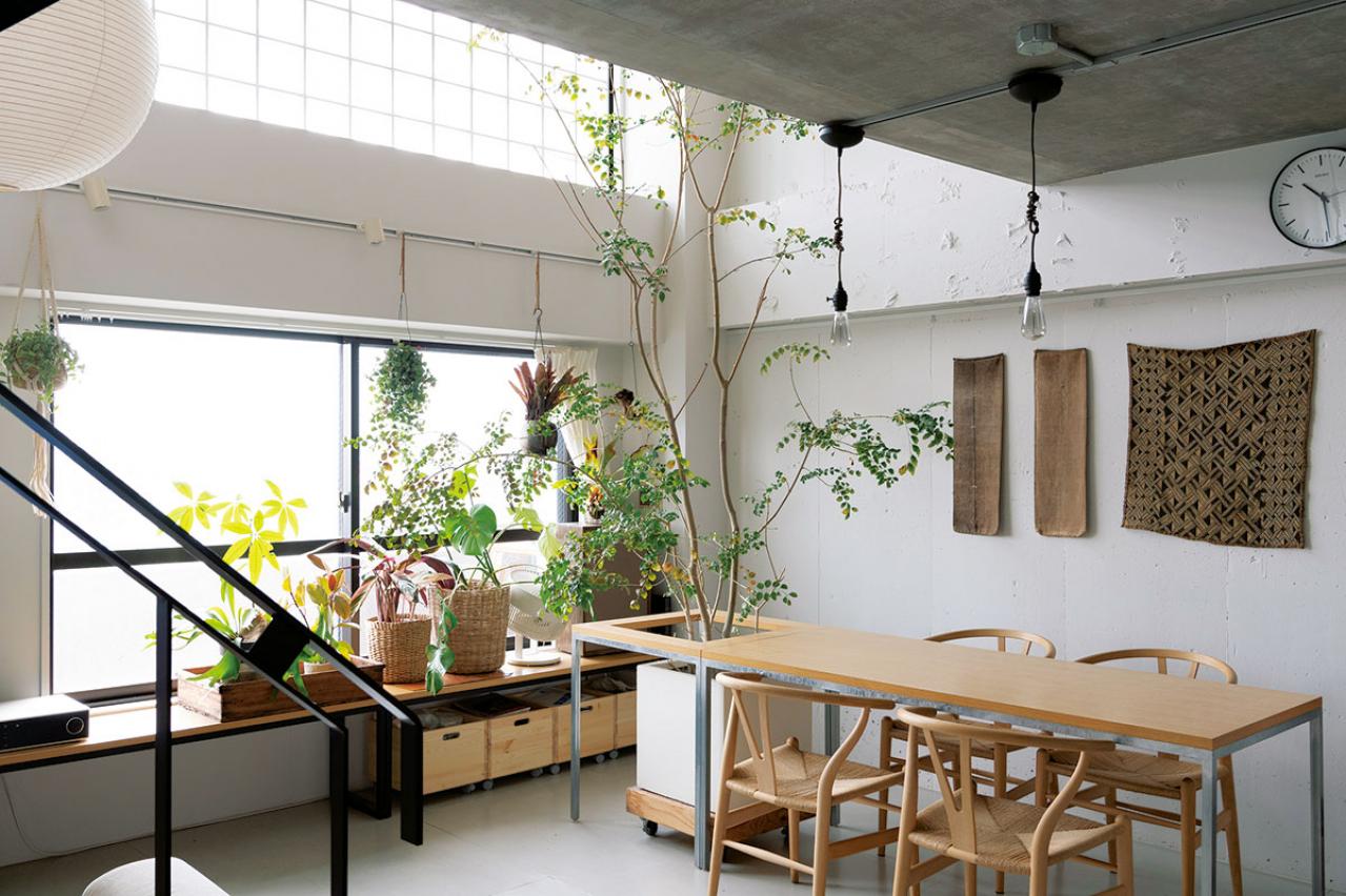 中古マンションだけど「森に住んでいる感じ！」部屋に大きな木のある【インテリア実例】（画像2）