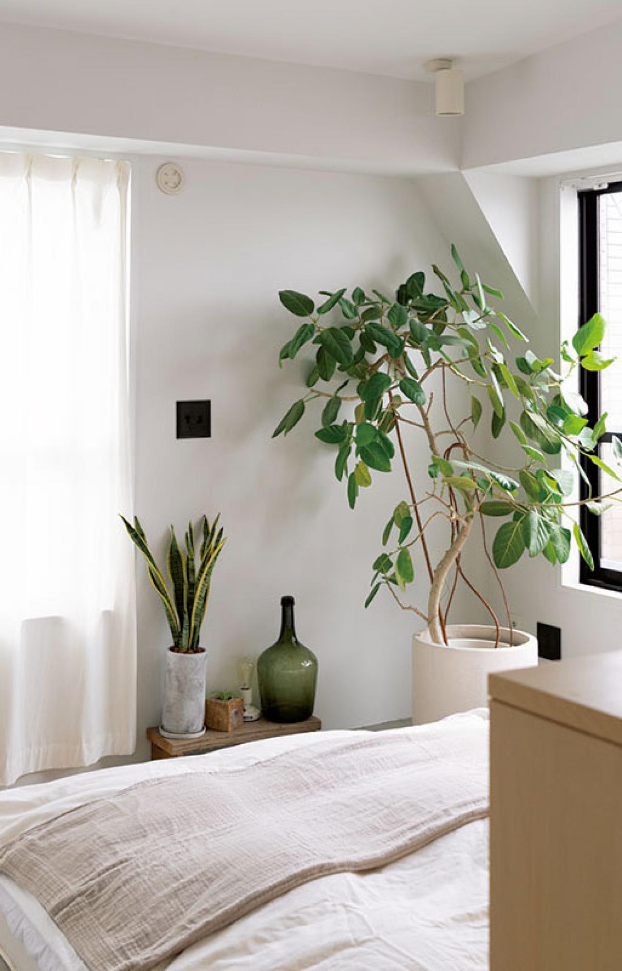 中古マンションだけど「森に住んでいる感じ！」部屋に大きな木のある【インテリア実例】（画像8）