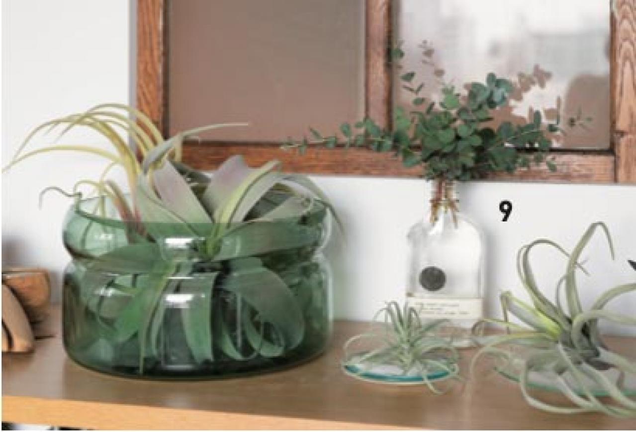 中古マンションだけど「森に住んでいる感じ！」部屋に大きな木のある【インテリア実例】（画像10）