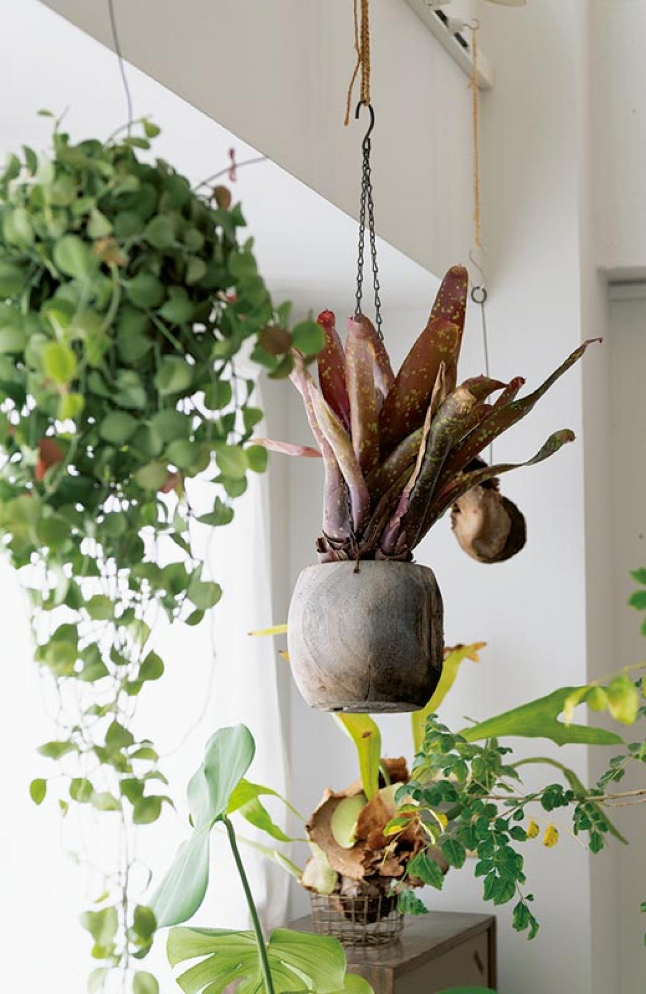 中古マンションだけど「森に住んでいる感じ！」部屋に大きな木のある【インテリア実例】（画像6）