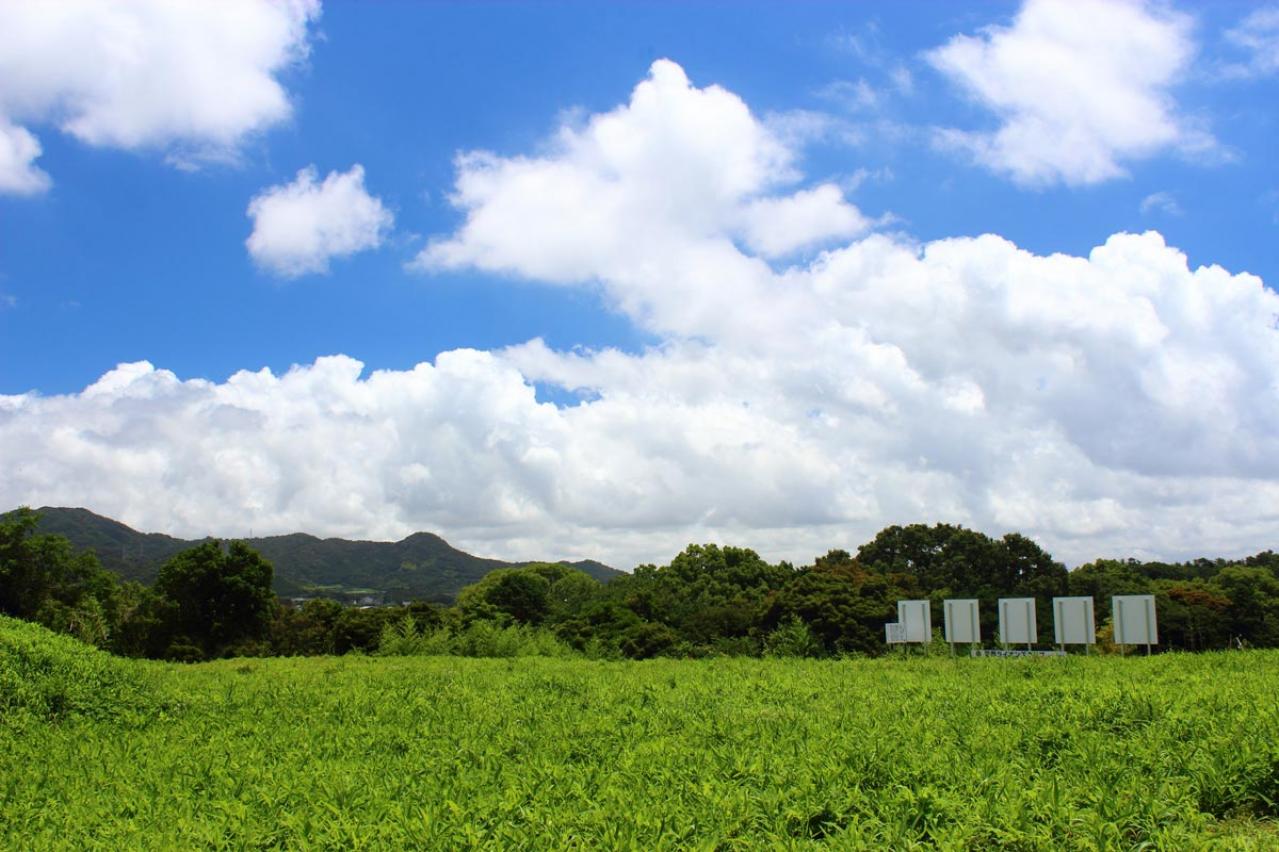 NHK大河【どうする家康】松潤が瀬名（有村架純）を奪還！　鵜殿長照は生き延びた説もある？