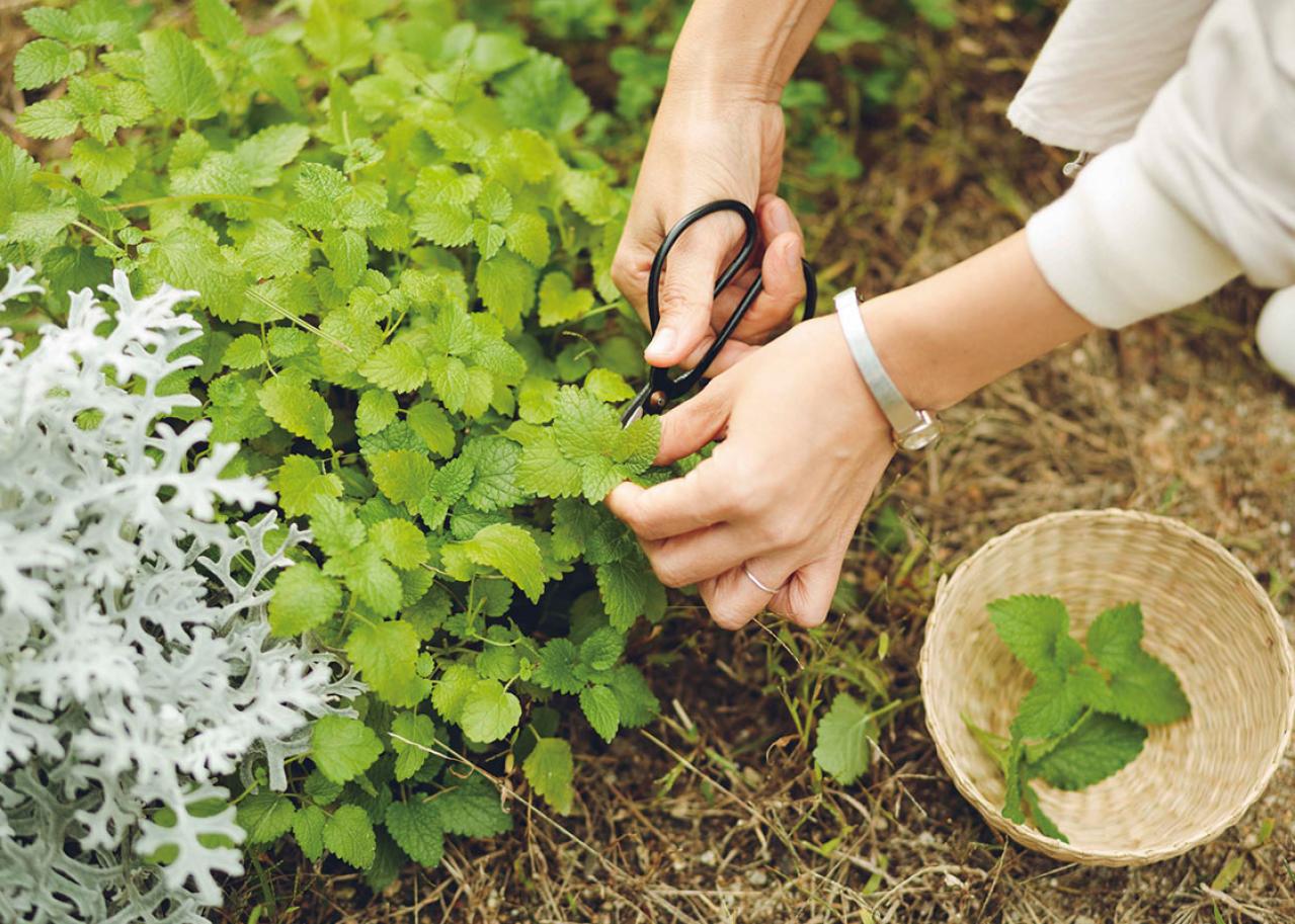 【素敵なあの人の家時間】ブイロガー・暮らしのつづりさん「海辺の平屋で“小さく暮らす”がテーマです」（画像2）