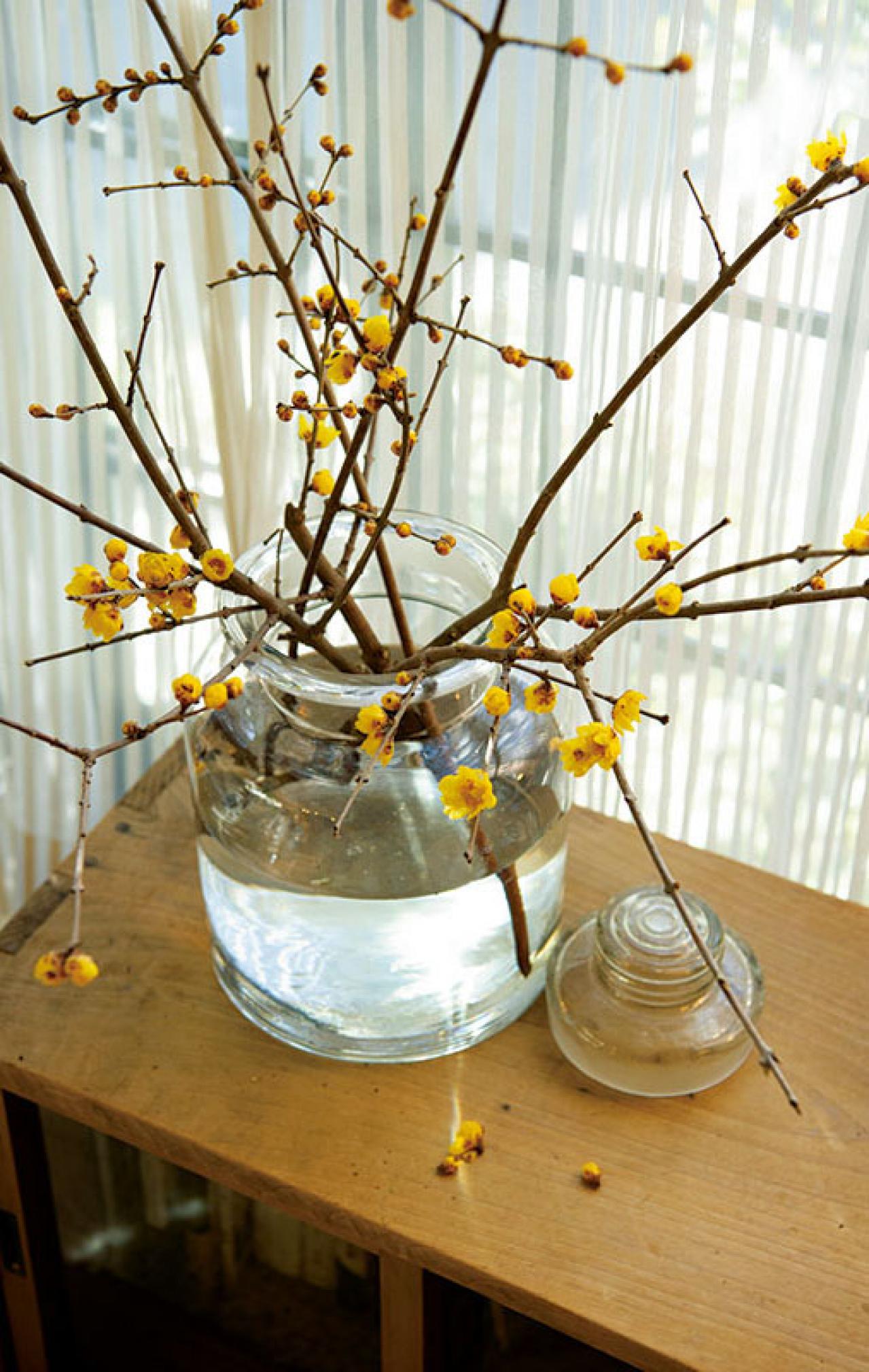 グリーンを家じゅうにバランスよく置く【実例】切り花を枯れる間際まで楽しむコツは？人気インスタグラマーの自宅拝見（画像13）