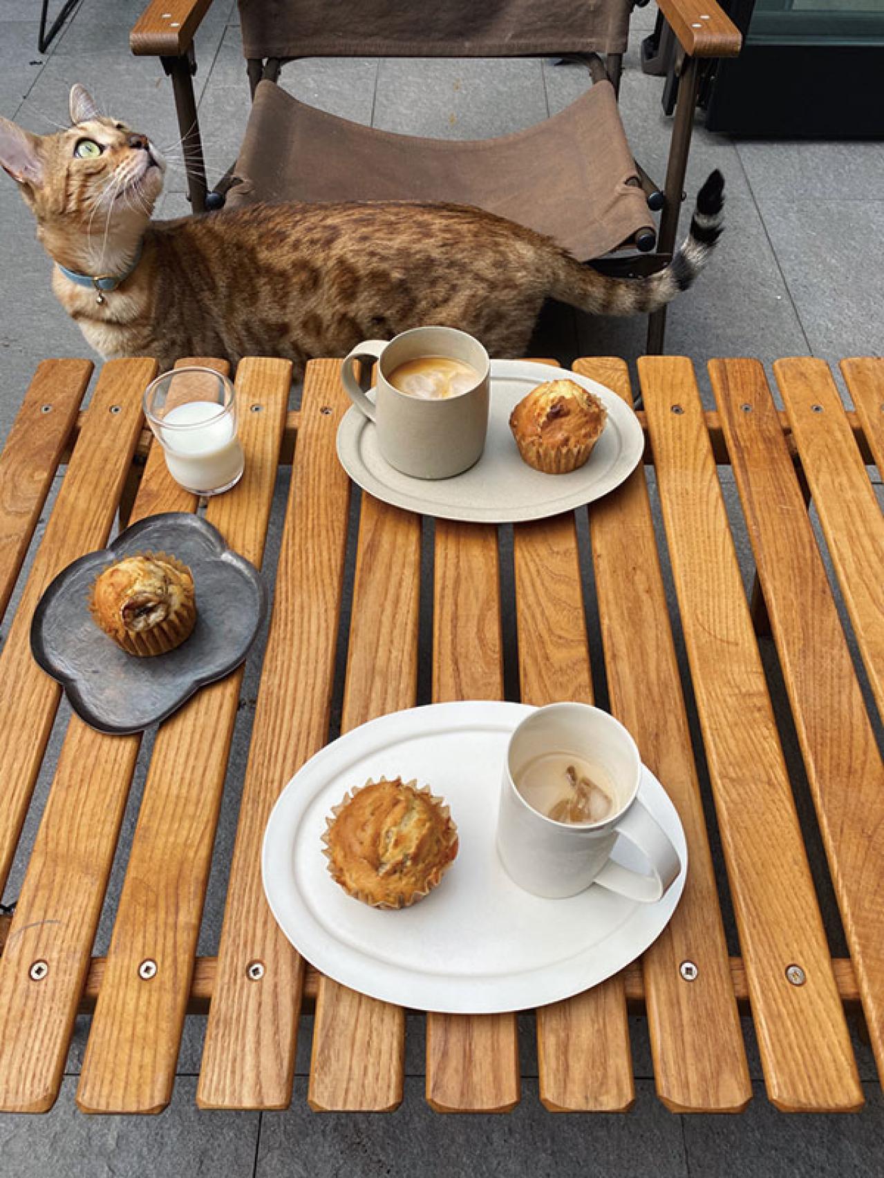 インスタグラマー【yuri___1115さん】のお宅を拝見！ ヴィンテージのインテリア、作家の器、猫たち｜素敵な人の家時間（画像18）