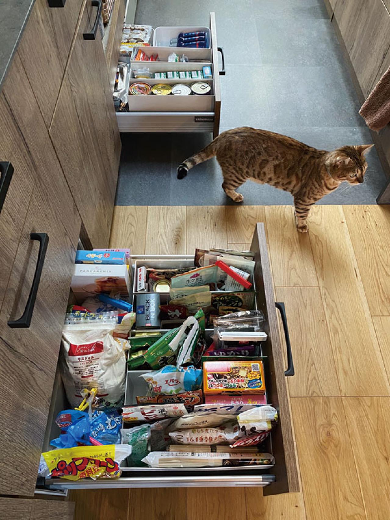 インスタグラマー【yuri___1115さん】のお宅を拝見！ ヴィンテージのインテリア、作家の器、猫たち｜素敵な人の家時間（画像16）