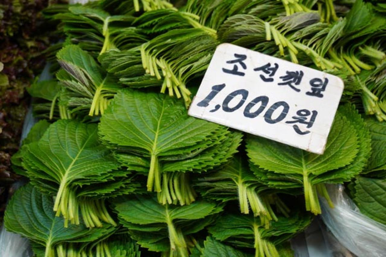 ソウルで最大の市場・京東市場内にできたスターバックスは、古い映画館を改装した新名所！【2023年連載1位記事】（画像11）