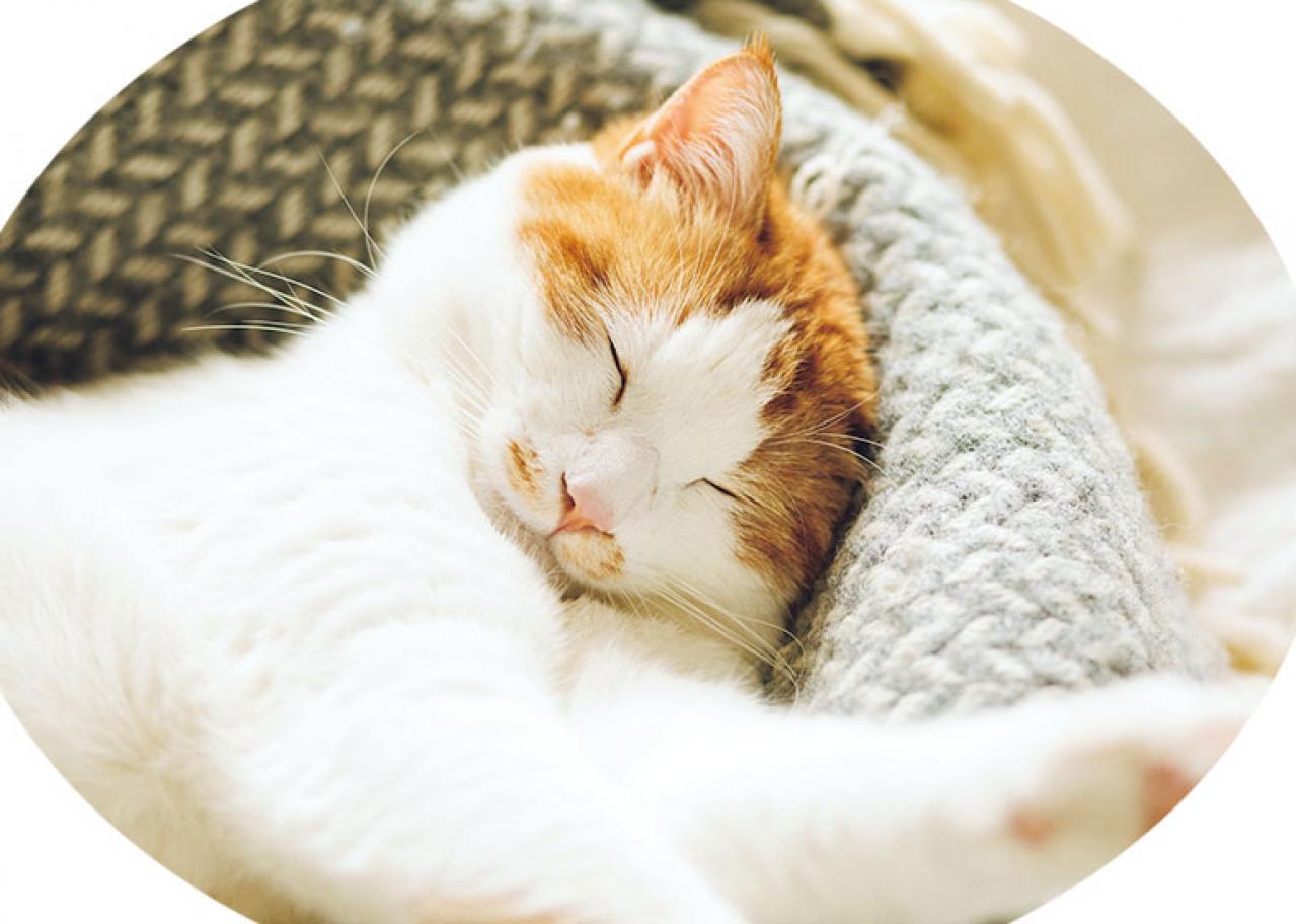 「私らしく働く」とは？　イラストレーター柿崎こうこさんが心がけているスキルアップと自己投資（画像15）