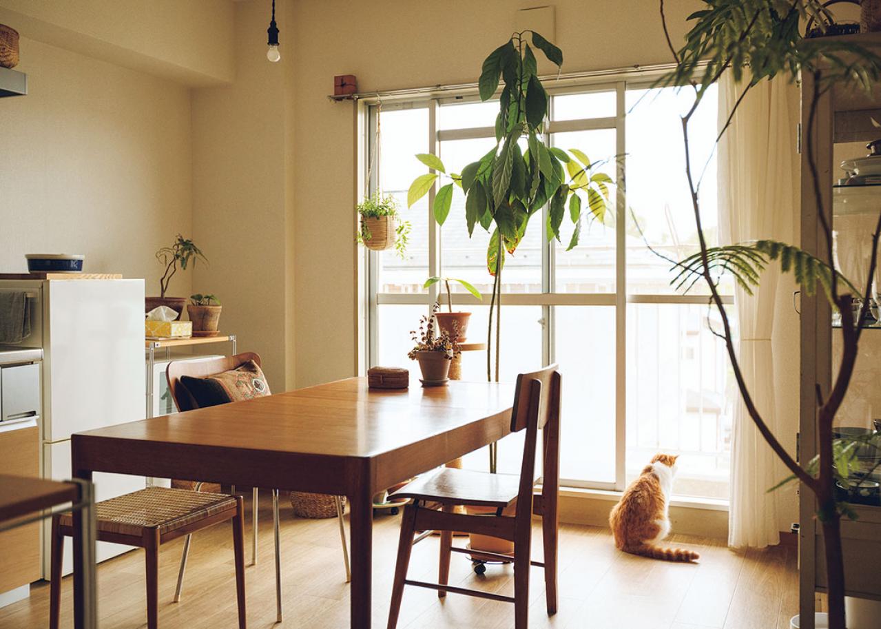 「私らしく働く」とは？　イラストレーター柿崎こうこさんが心がけているスキルアップと自己投資（画像4）