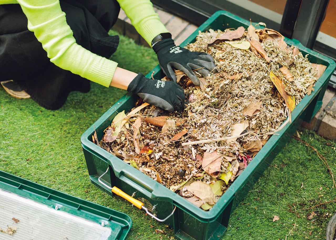 森の中にいるような、賃貸マンションのバルコニー【実例】「植物おしゃれに飾るのではなく、共生しています」（画像16）