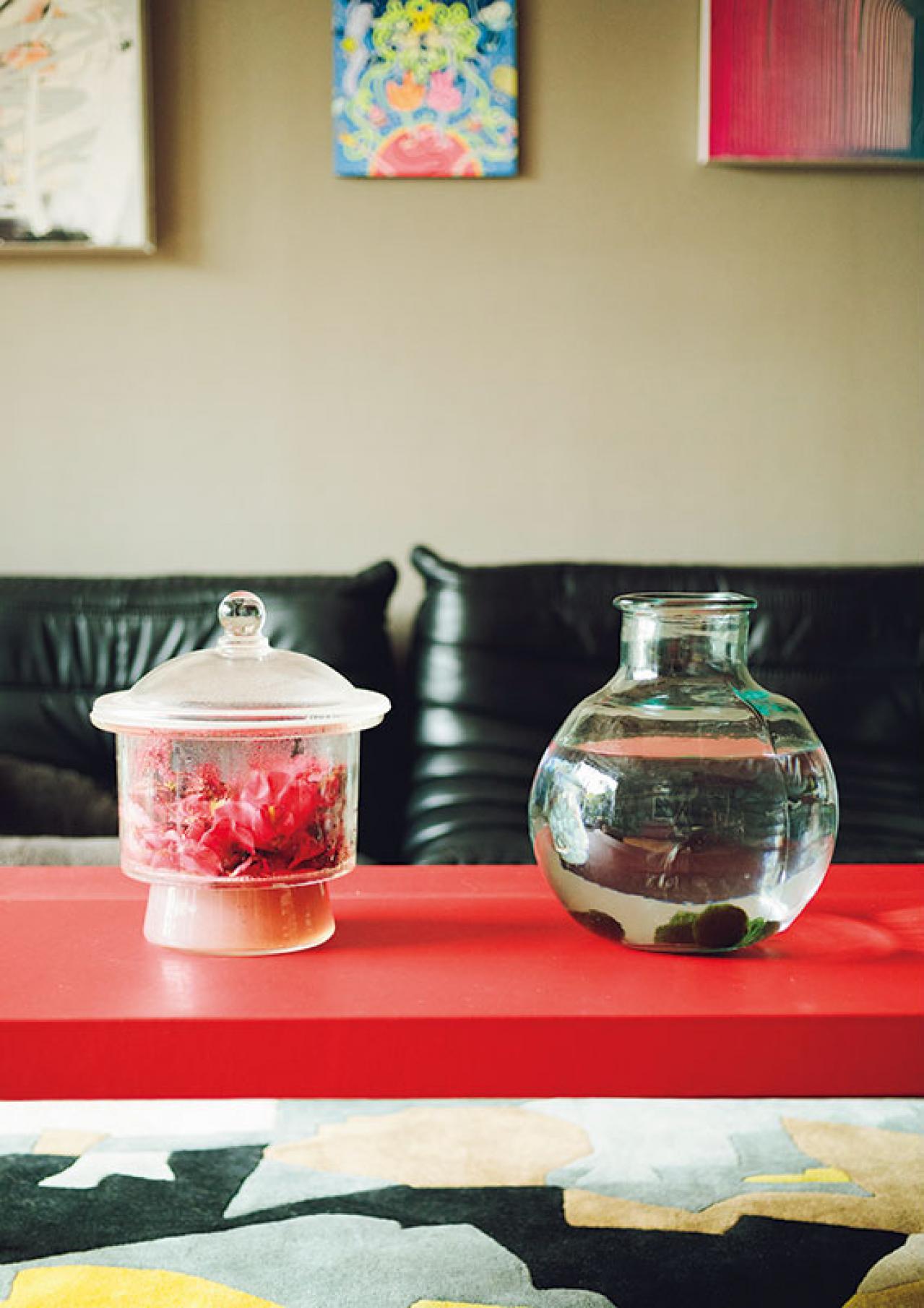 森の中にいるような、賃貸マンションのバルコニー【実例】「植物おしゃれに飾るのではなく、共生しています」（画像14）