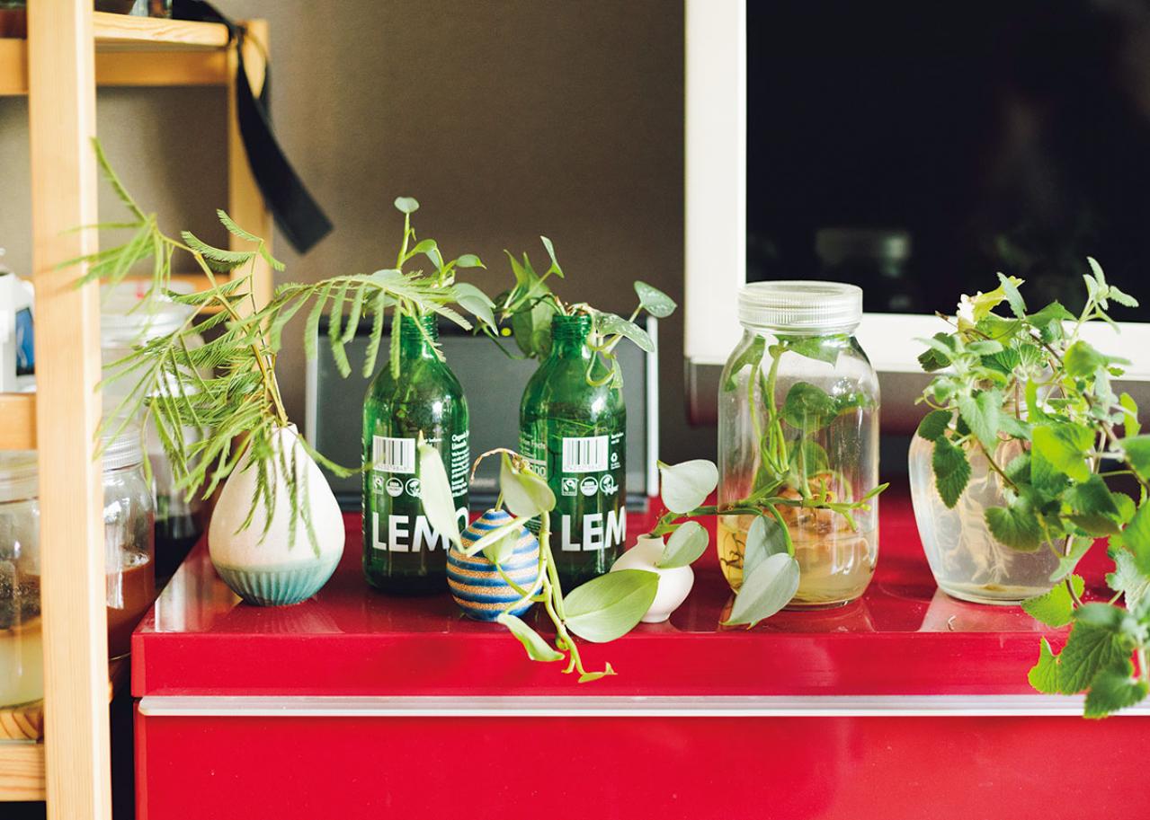 森の中にいるような、賃貸マンションのバルコニー【実例】「植物おしゃれに飾るのではなく、共生しています」（画像10）