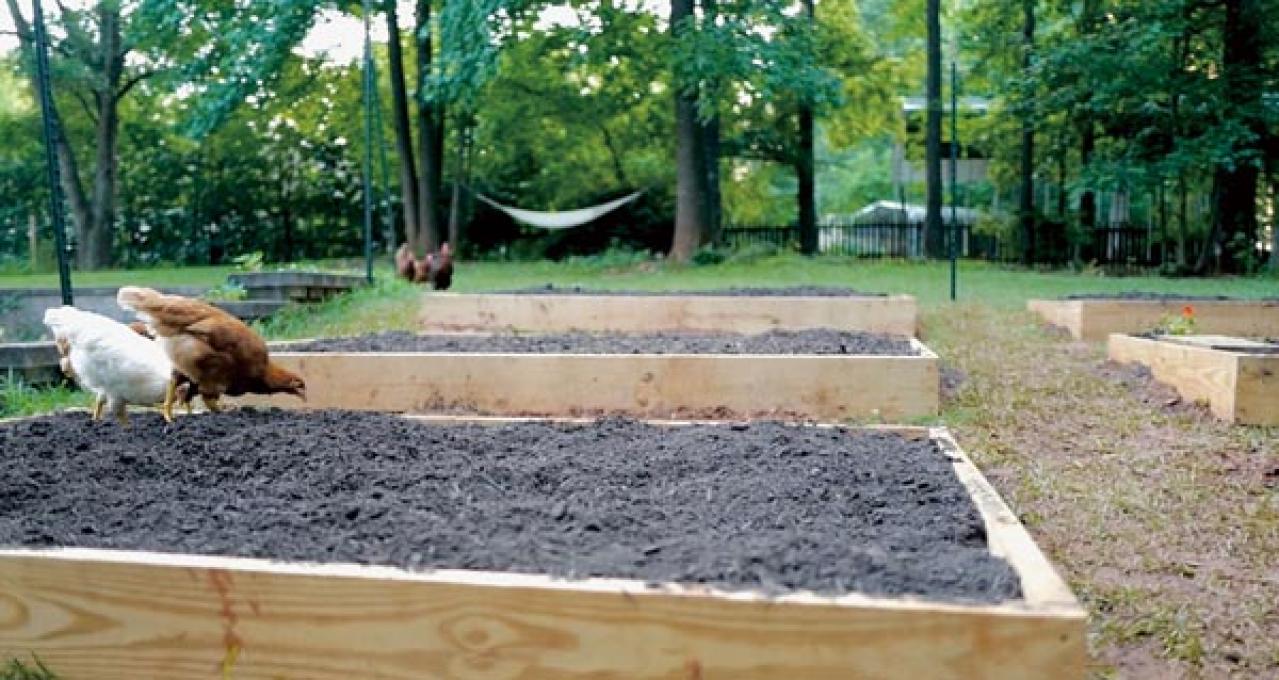 小さな幸せがちりばめられた「家時間」にうっとり。自然やヴィンテージに囲まれた、アメリカの田舎暮らし（画像8）