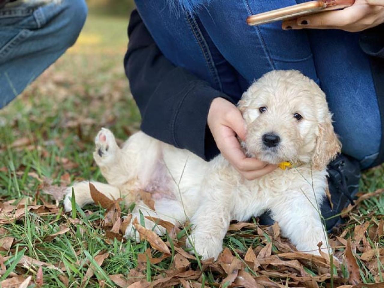 小さな幸せがちりばめられた「家時間」にうっとり。自然やヴィンテージに囲まれた、アメリカの田舎暮らし（画像9）