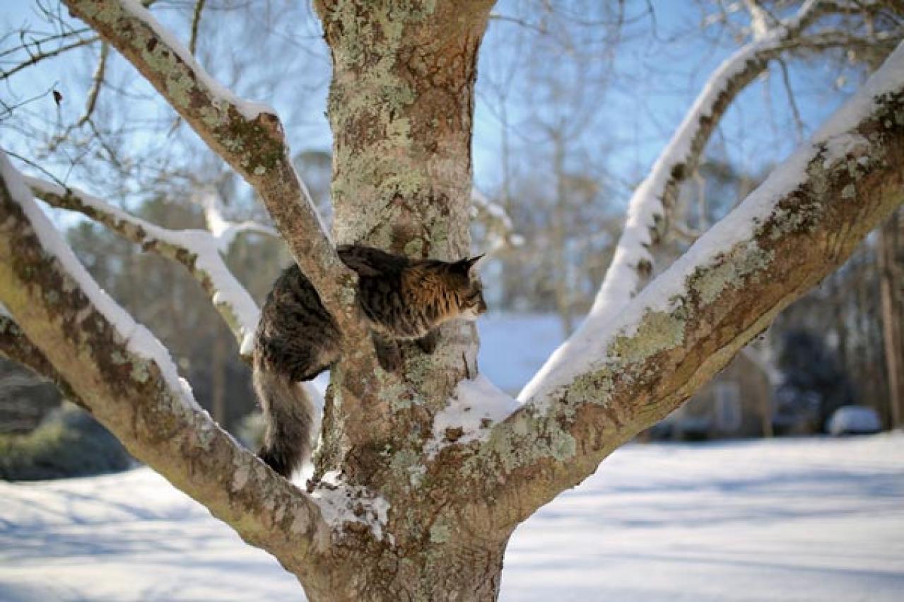 小さな幸せがちりばめられた「家時間」にうっとり。自然やヴィンテージに囲まれた、アメリカの田舎暮らし（画像3）
