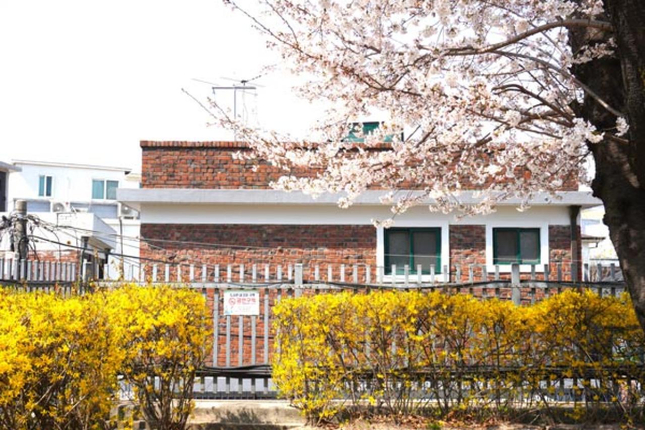 ソウルも桜が満開！ 昔ながらの街並みが残る北村～三清洞は散歩が楽しいコース（画像7）