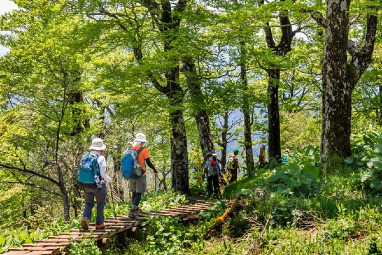 「なんだかイライラ、ぐっすり眠れない…」50代〜に。自律神経を整える6つのヒント—小林弘幸先生に聞く（画像3）