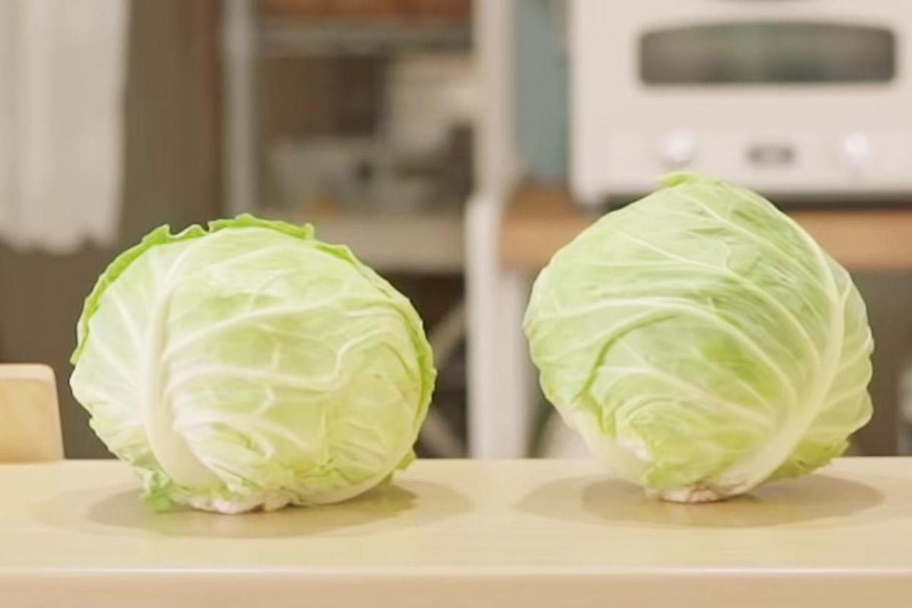 キャベツ丸々１個をおいしく使い切るコツ。野菜をムダにしない！冷凍ワザ
