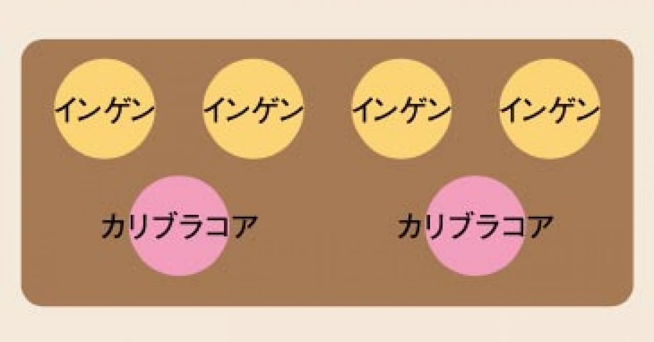 初心者でも失敗しない【ベランダ菜園】ミニトマト＋バジル＋シソで寄せ植えレッスン（画像26）