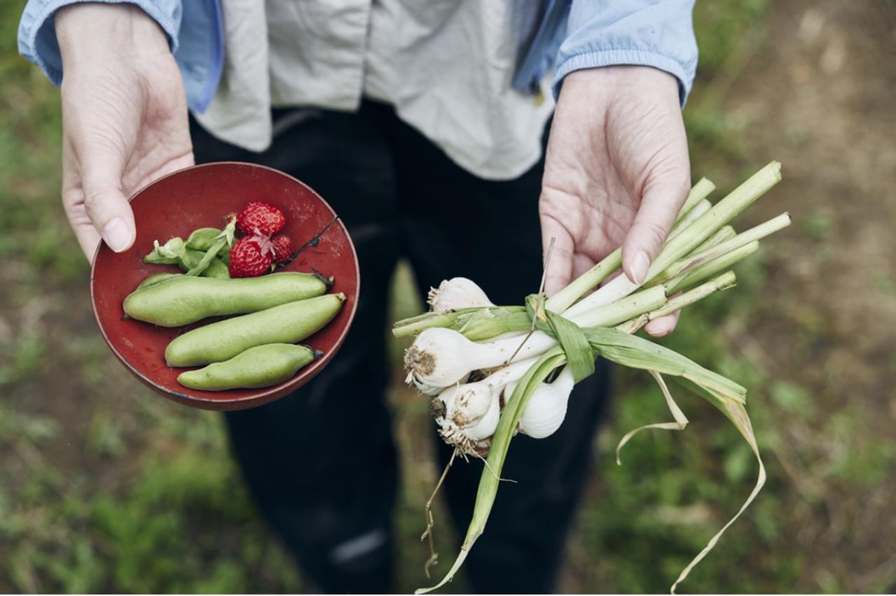 都会から地方へ。畑仕事をはじめたデザイナーAsakoさんの「農」のある暮らし