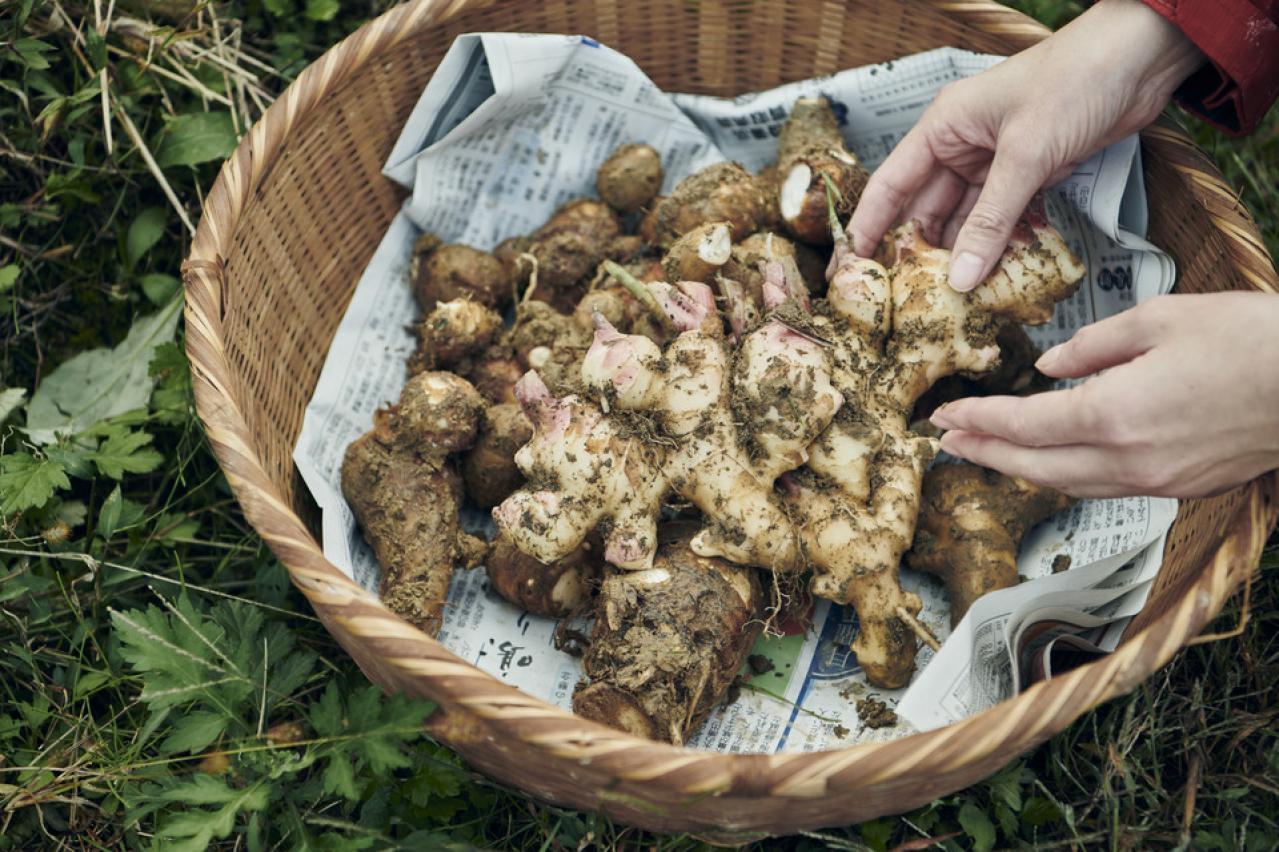 都会から地方へ。畑仕事をはじめたデザイナーAsakoさんの「農」のある暮らし（画像7）