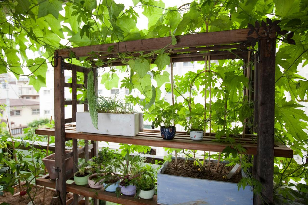 【ガーデニング】初心者でも失敗知らずの「野菜＋ハーブの寄せ植え」とは？ 今すぐ始めたい【ベランダ菜園】