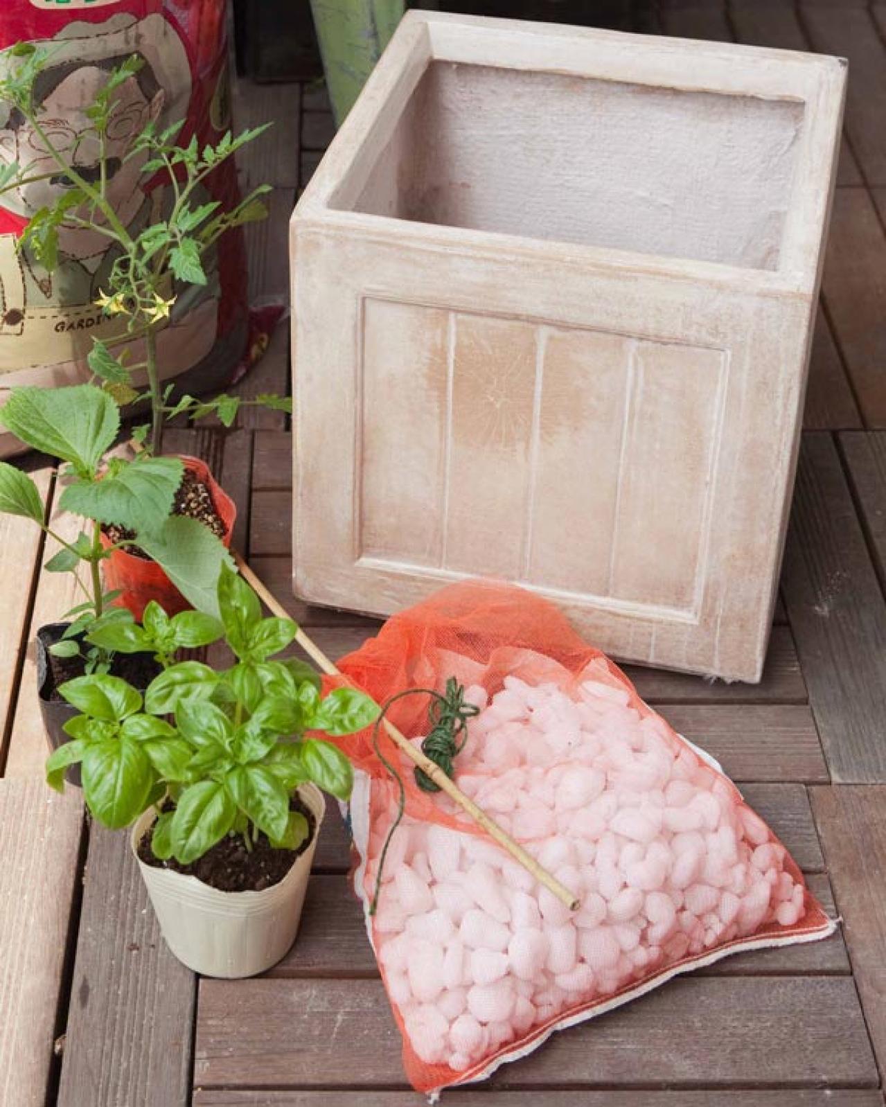 初心者でも失敗しない【ベランダ菜園】ミニトマト＋バジル＋シソで寄せ植えレッスン（画像2）