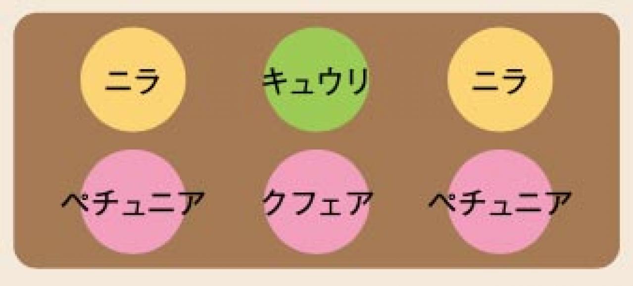 初心者でも失敗しない【ベランダ菜園】ミニトマト＋バジル＋シソで寄せ植えレッスン（画像16）