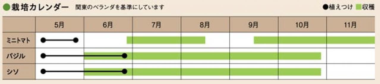 初心者でも失敗しない【ベランダ菜園】ミニトマト＋バジル＋シソで寄せ植えレッスン（画像14）