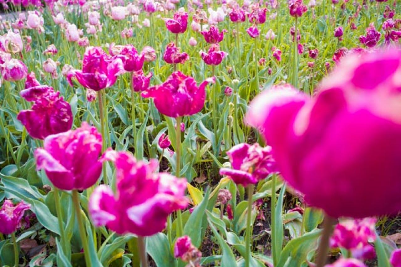 【プロ直伝】スマホで撮れる風景写真「7つの構図レッスン」（画像13）