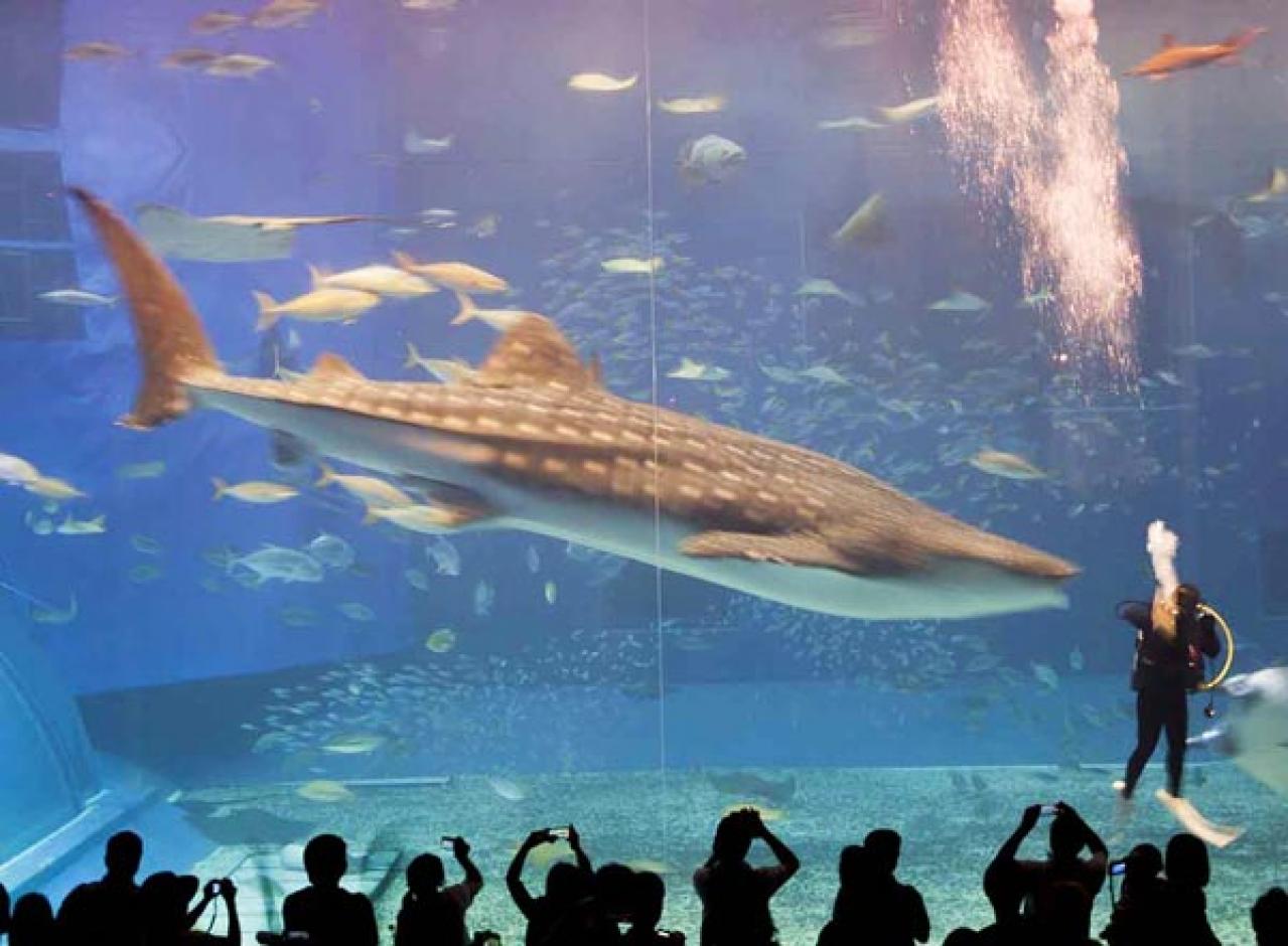 【プロ直伝】スマホで撮れる風景写真「7つの構図レッスン」（画像17）