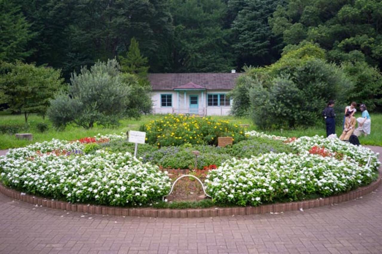 【プロ直伝】スマホで撮れる風景写真「7つの構図レッスン」（画像7）