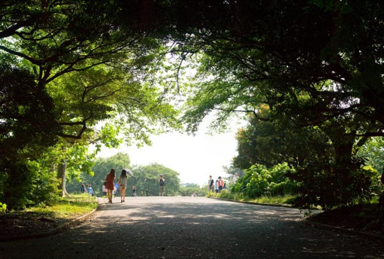 【プロ直伝】スマホで撮れる風景写真「7つの構図レッスン」（画像14）