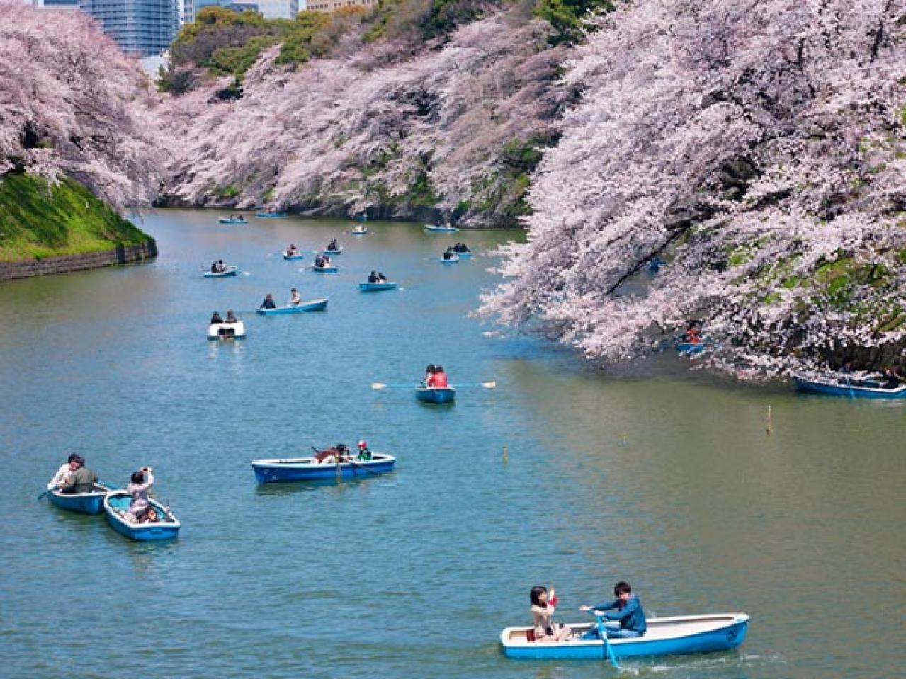 【プロ直伝】スマホで撮れる風景写真「7つの構図レッスン」（画像12）