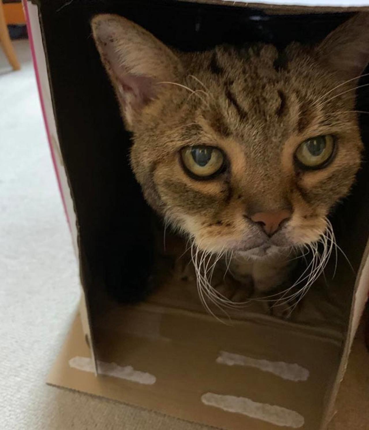 年齢にとらわれている人へ。海原純子さんの“自分を伸ばす力”「年齢を経たからこそ気づけた自分の中の多様性を大切に」（画像5）