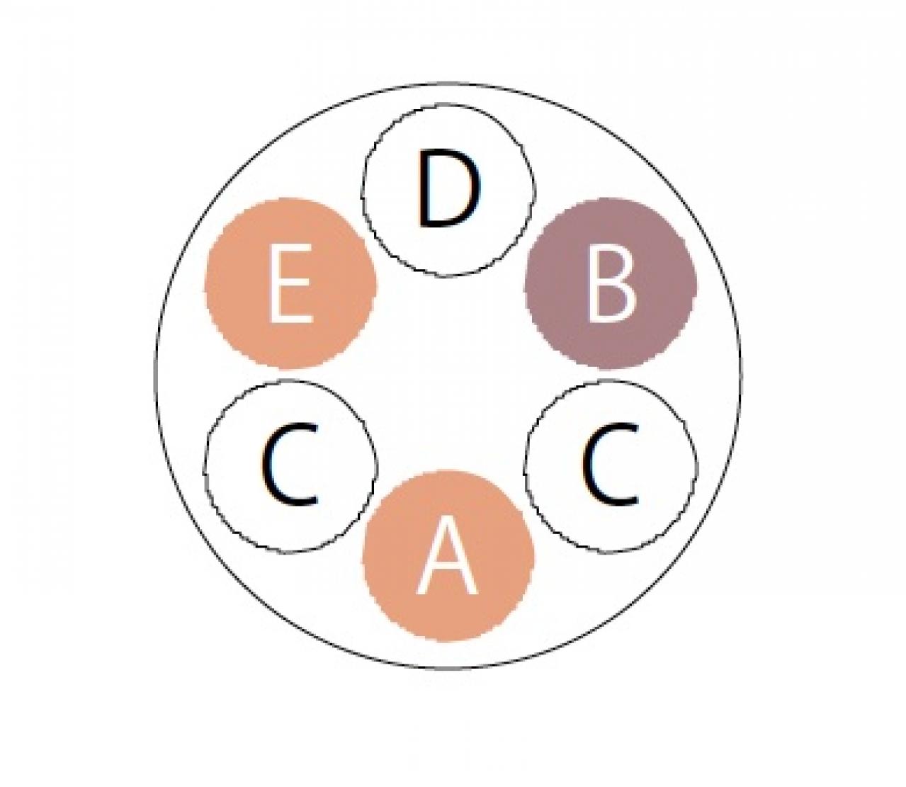 【ガーデニング】初夏から秋まで咲く！ キュートな【ペンタス】の寄せ植え（画像6）