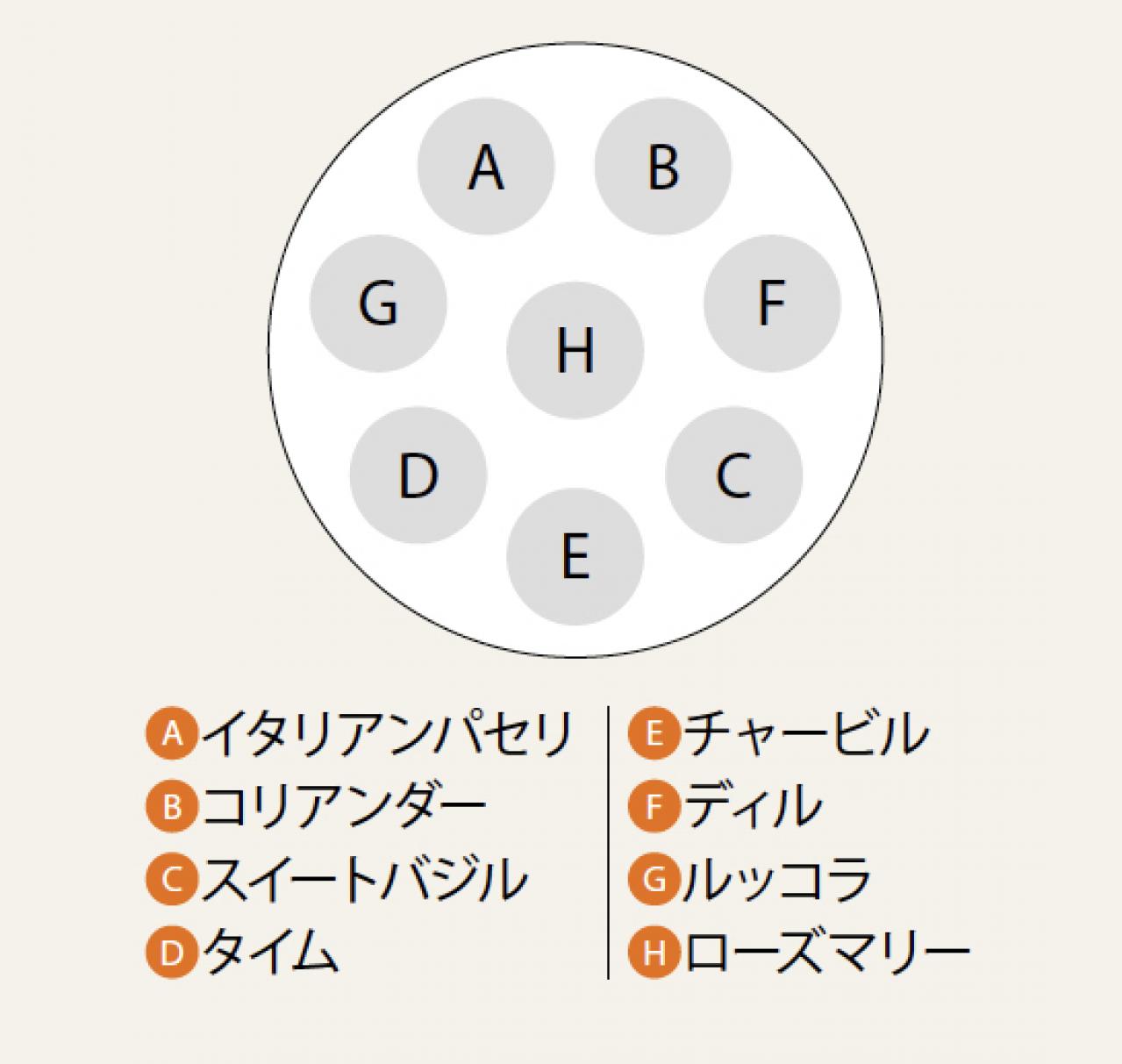 【ガーデニング】初心者でも育てやすく料理に活躍する「ハーブの寄せ植え」（画像4）