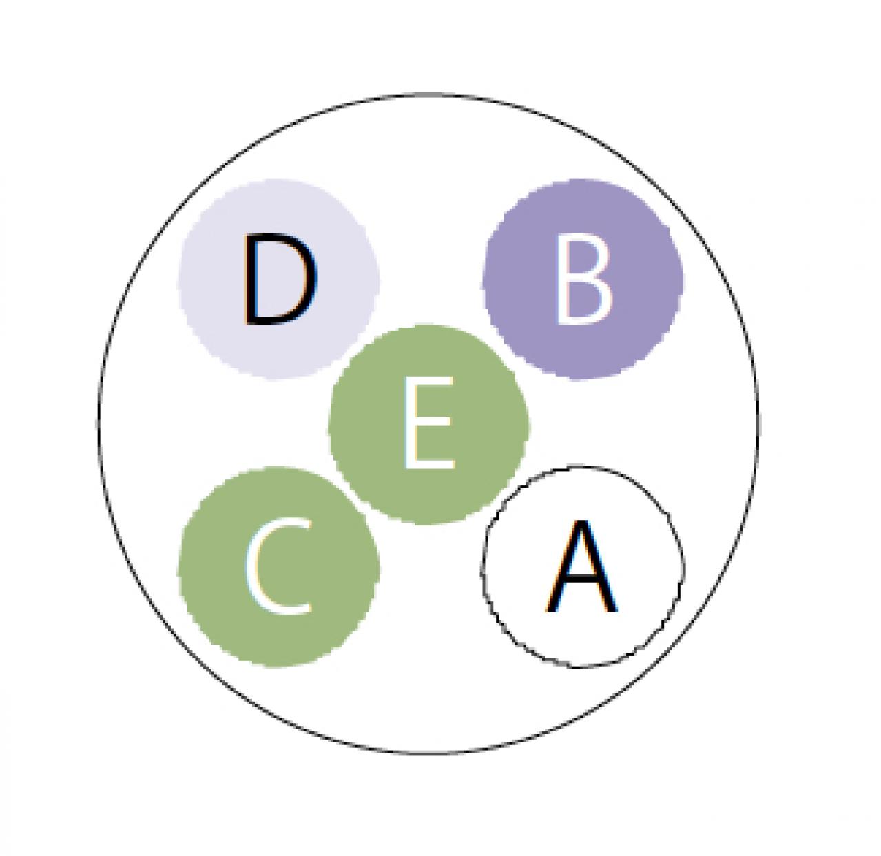 【ガーデニング】多彩な色、花形が魅力的！ 多年草【ニチニチソウ】の寄せ植え（画像4）