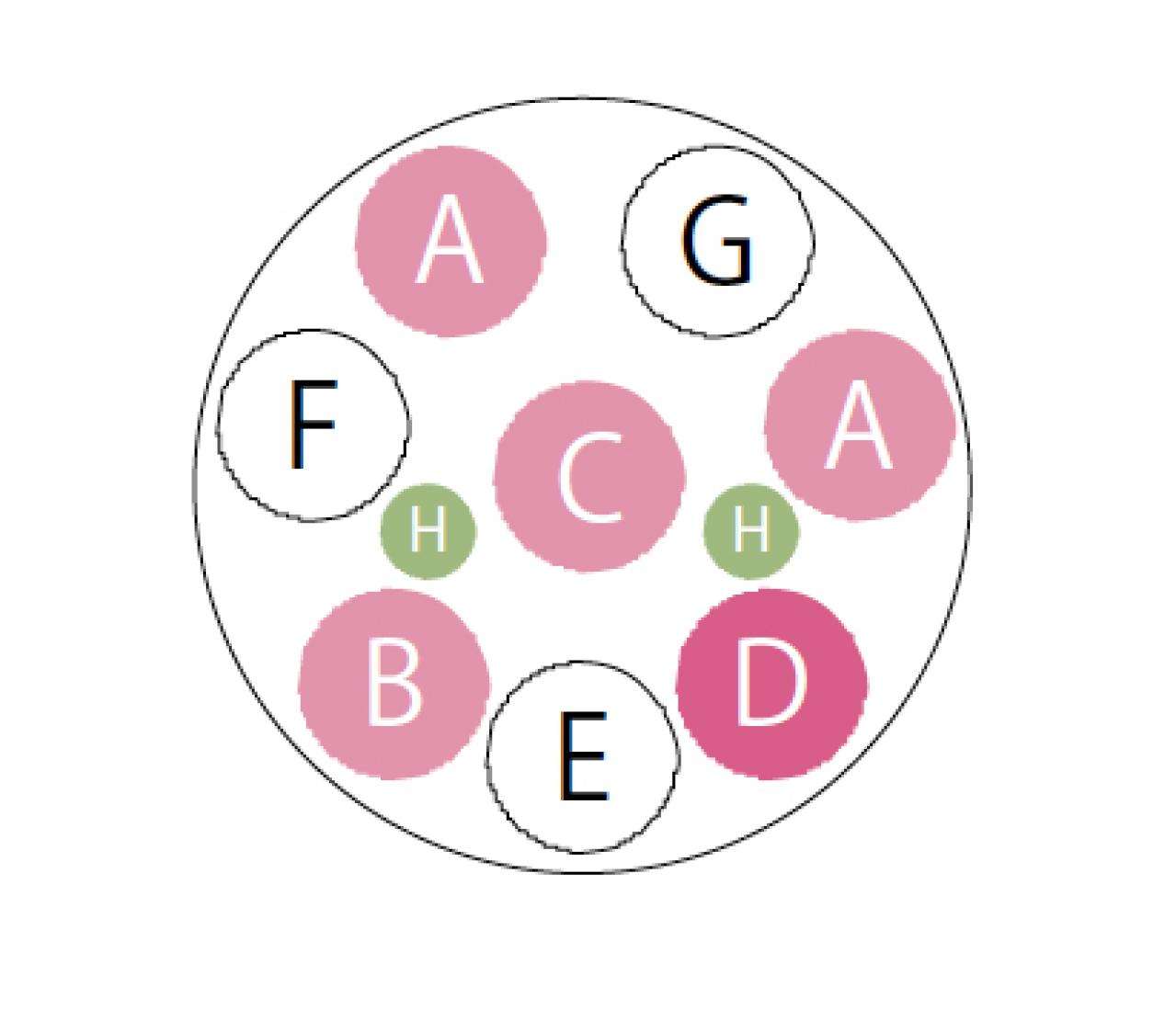 【ガーデニング】秋まで繰り返し咲くのが魅力！ 初心者でも育てやすい【ジニアの寄せ植え】（画像4）