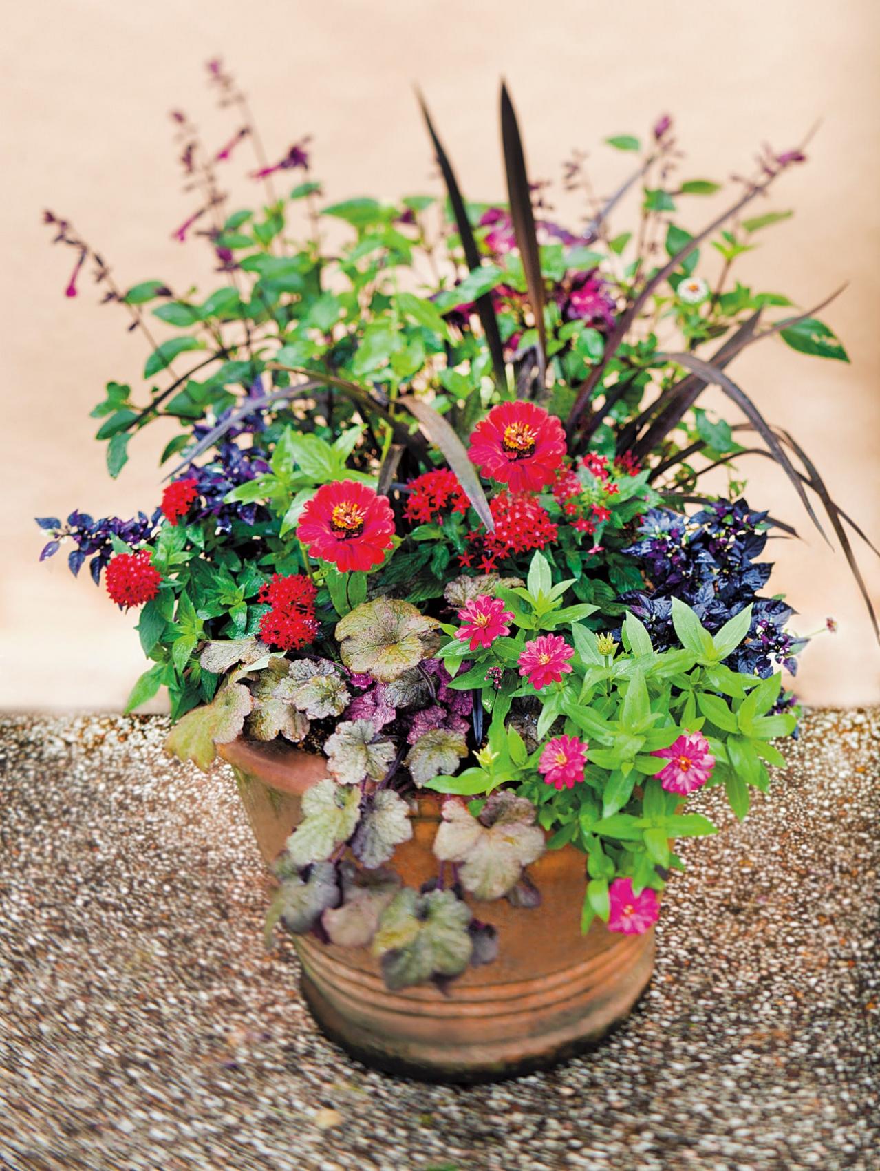 【ガーデニング】秋まで繰り返し咲くのが魅力！ 初心者でも育てやすい【ジニアの寄せ植え】（画像5）