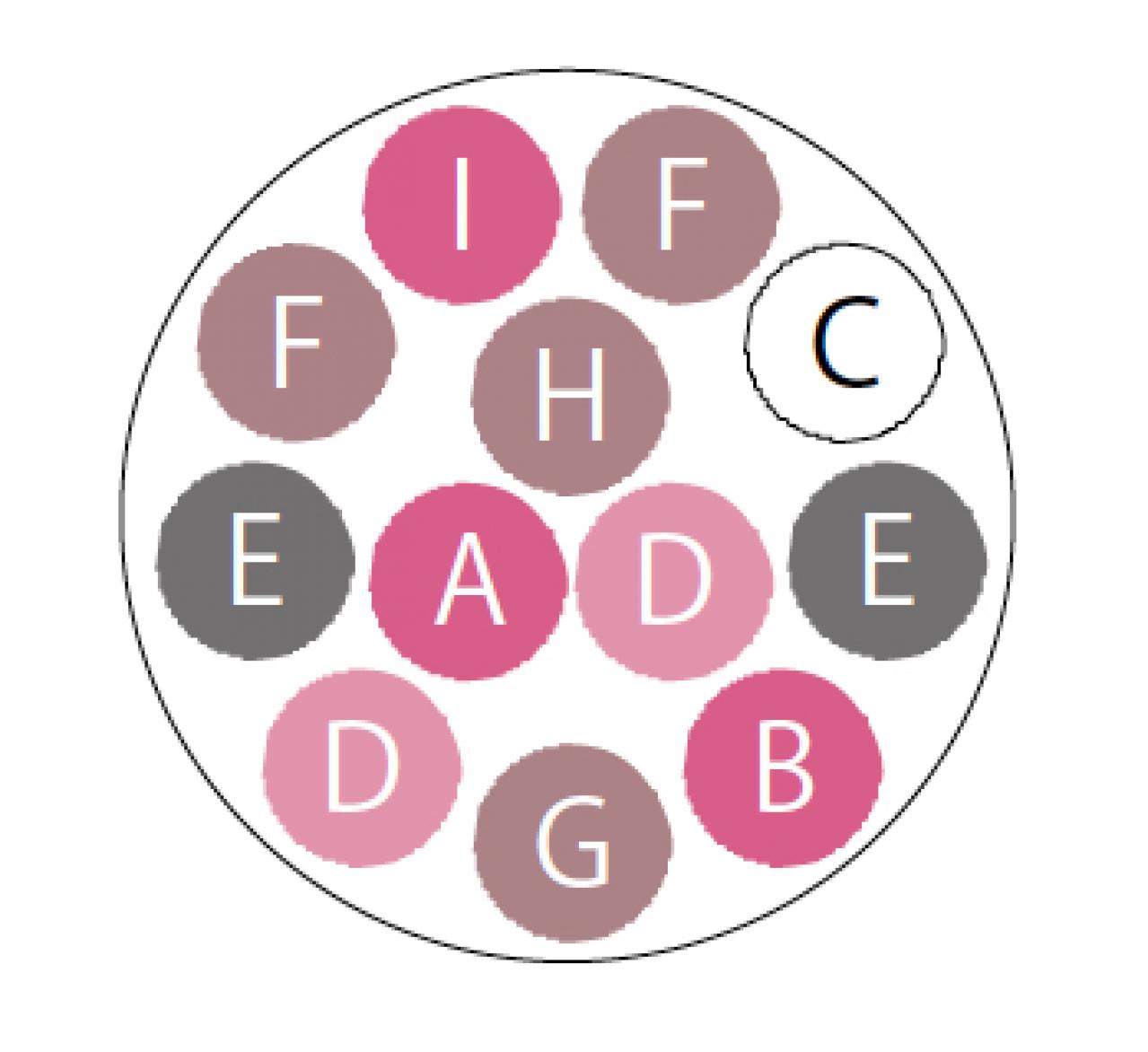 【ガーデニング】秋まで繰り返し咲くのが魅力！ 初心者でも育てやすい【ジニアの寄せ植え】（画像6）