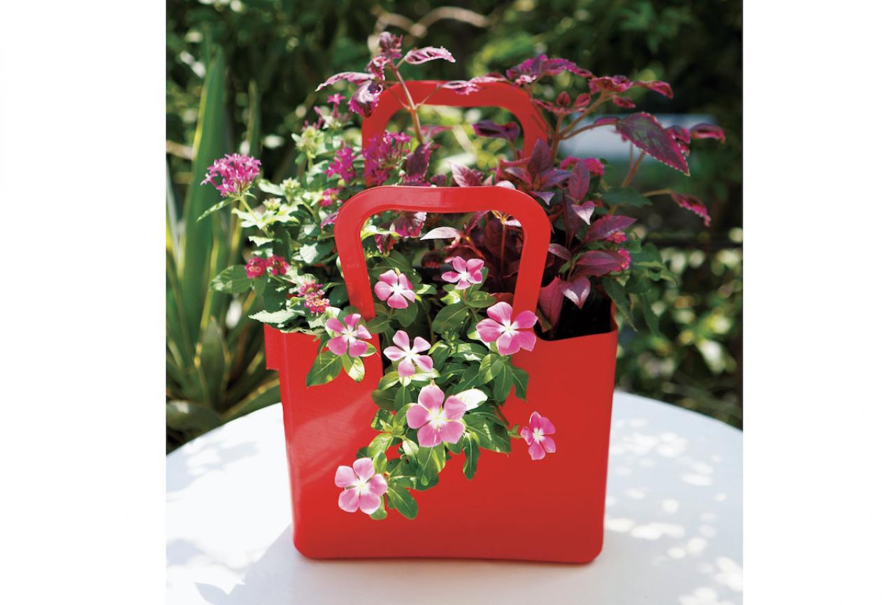 【ガーデニング】多彩な色、花形が魅力的！ 多年草【ニチニチソウ】の寄せ植え