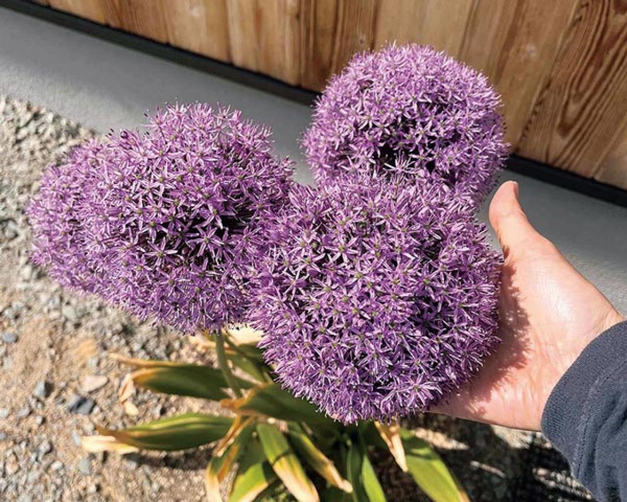 「50代・ひとり暮らし」勤続30年会社員が投資した持家と資産形成のプランとは？（画像10）