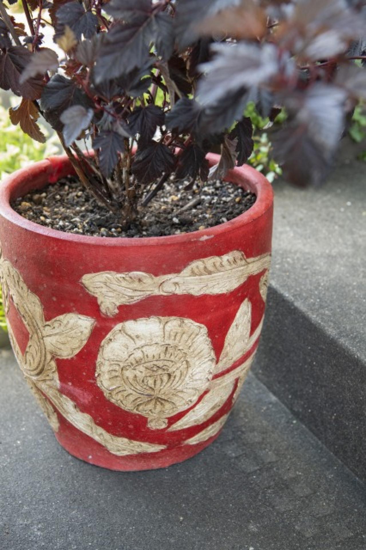 【ガーデニング】鉢植えを並べて置くだけ！夏のエントランスを格上げするコツ（画像4）