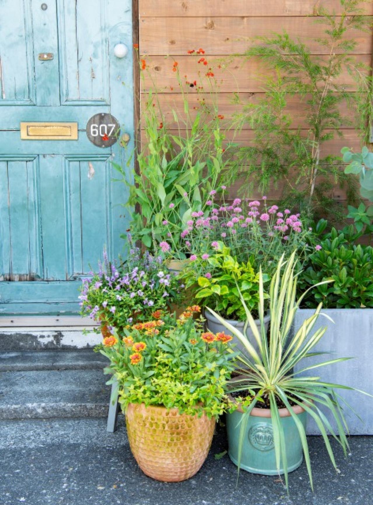 【ガーデニング】鉢植えを並べて置くだけ！夏のエントランスを格上げするコツ（画像2）